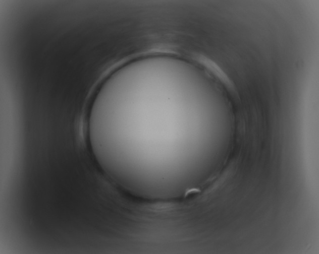 X0000100911268200807081116