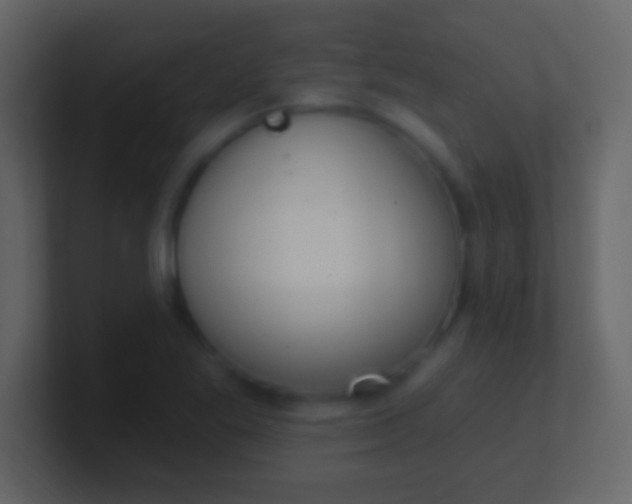 X0000100911269200807081116