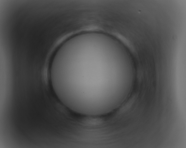 X0000100911270200807081116