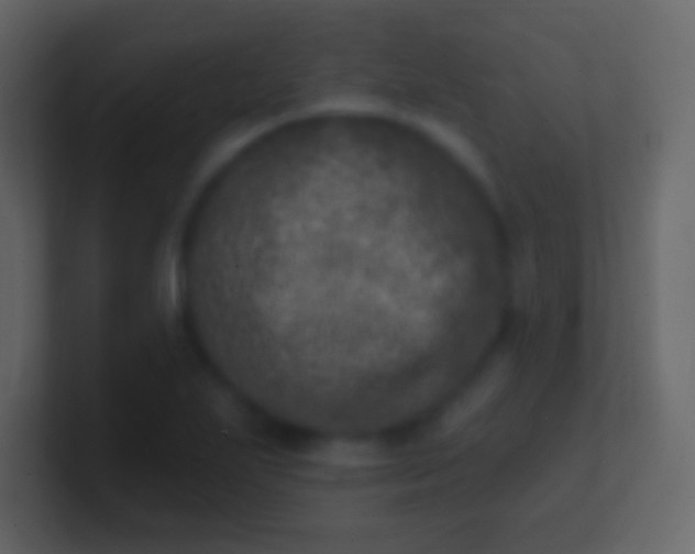 X0000100911271200807081116