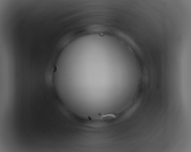 X0000100911273200807081116