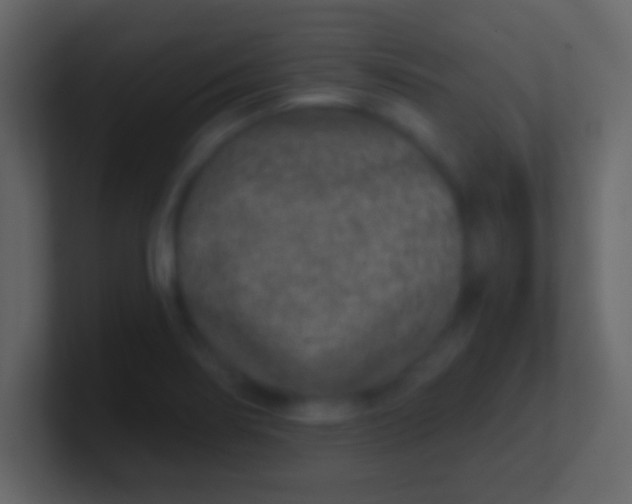 X0000100911274200807081116