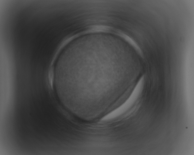 X0000100911275200807081116