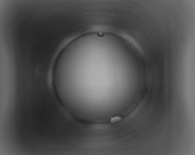 X0000100911277200807081116