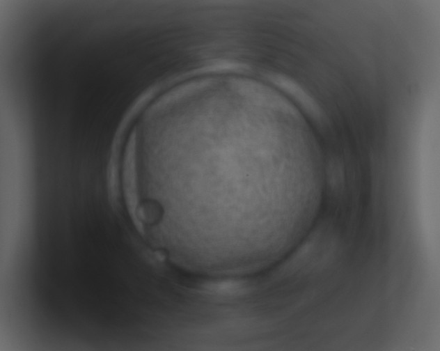 X0000100911278200807081116