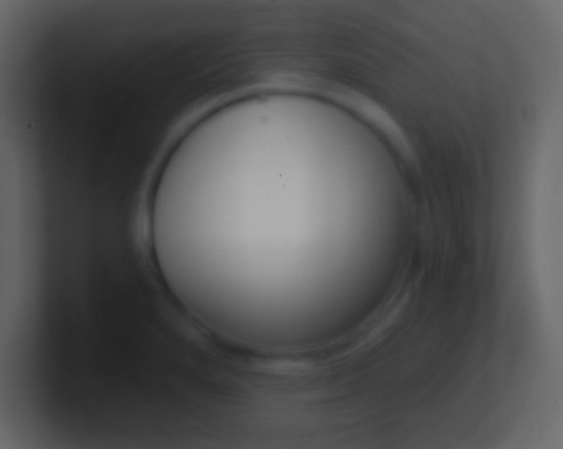 X0000100911280200807081116