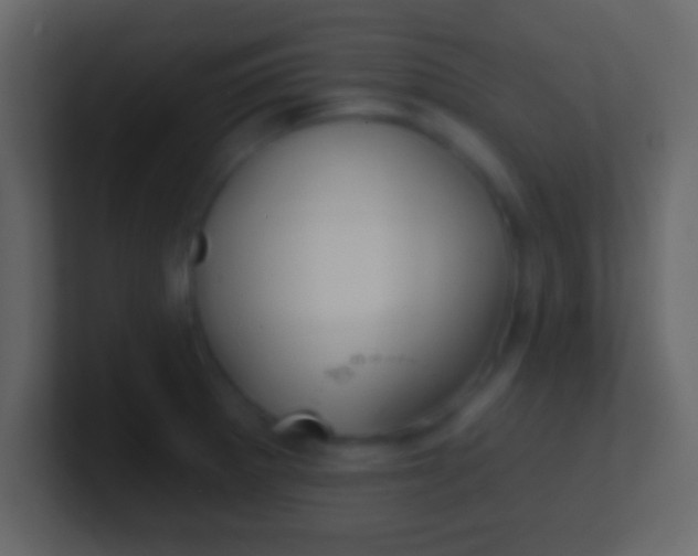X0000100911281200807081116