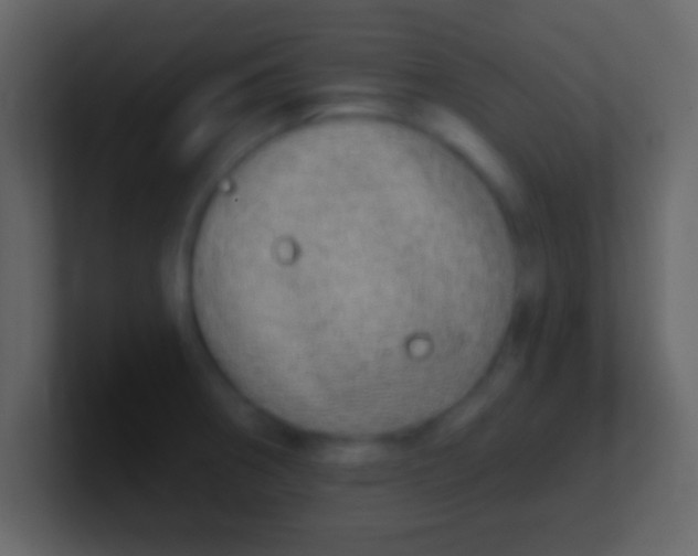 X0000100911282200807081116