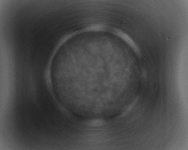 X0000100911283200807081116