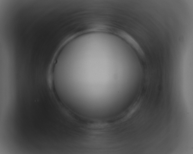 X0000100911284200807081116