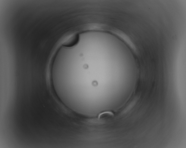 X0000100911285200807081116