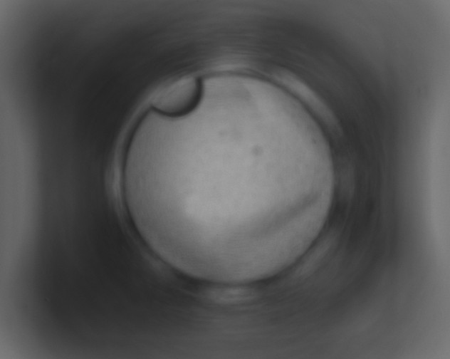 X0000100911286200807081116