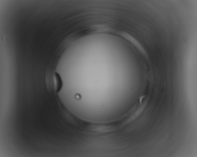 X0000100911289200807081116