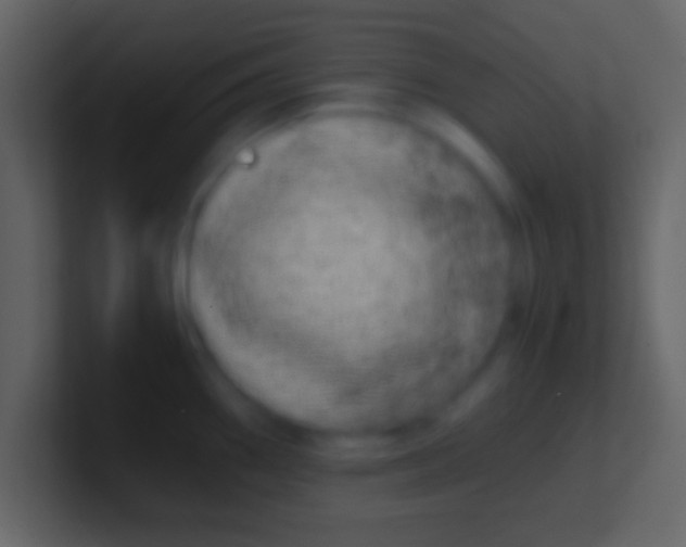X0000100911290200807081116