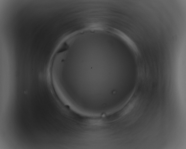 X0000100911291200807081116