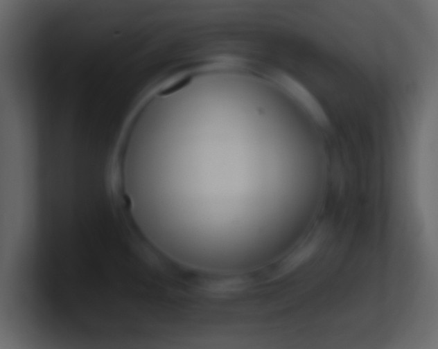 X0000100911292200807081116