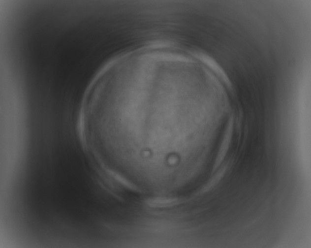 X0000100911294200807081116