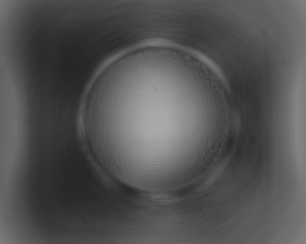X0000100911295200807081116