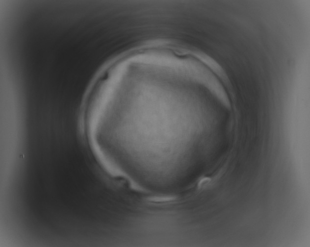 X0000100911296200807081116
