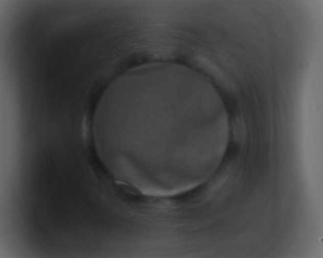 X0000100911298200807081115