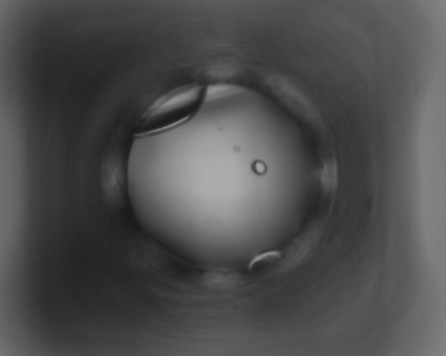X0000100911299200807081115