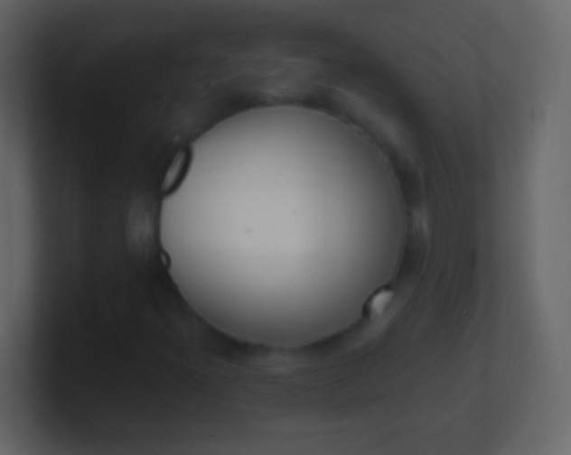 X0000100911300200807081115