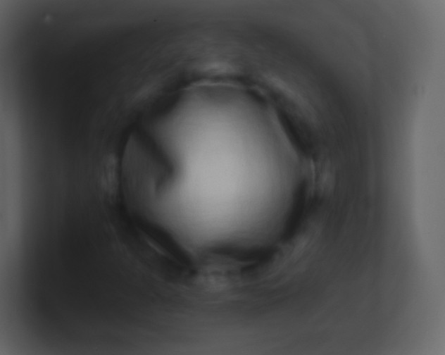 X0000100911301200807081115