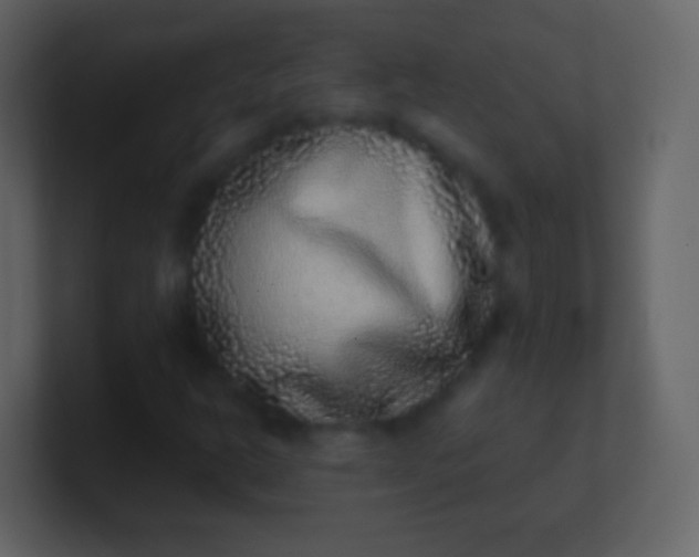 X0000100911302200807081115