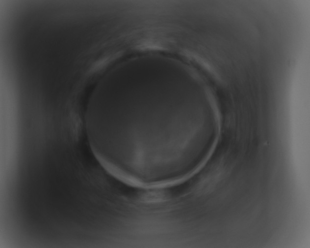 X0000100911303200807081115