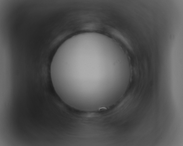 X0000100911304200807081115