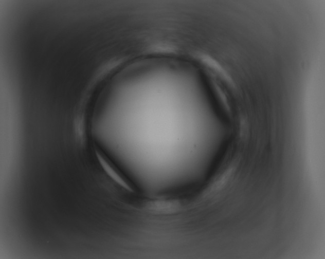 X0000100911307200807081115