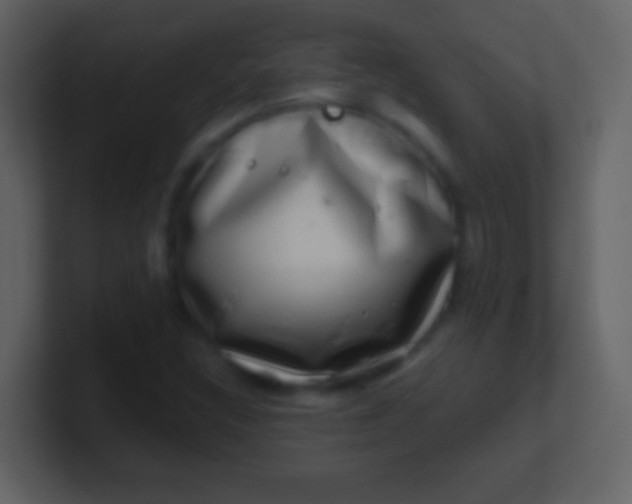 X0000100911308200807081115