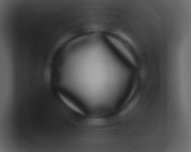 X0000100911309200807081115