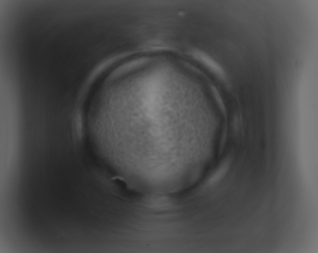 X0000100911310200807081115