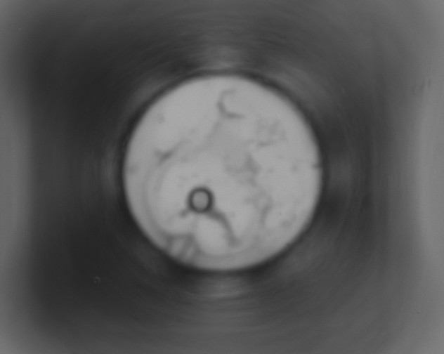 X0000100911314200807081116