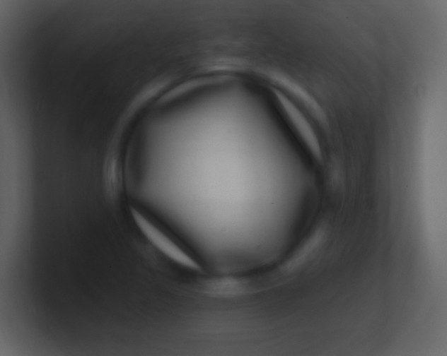 X0000100911317200807081116