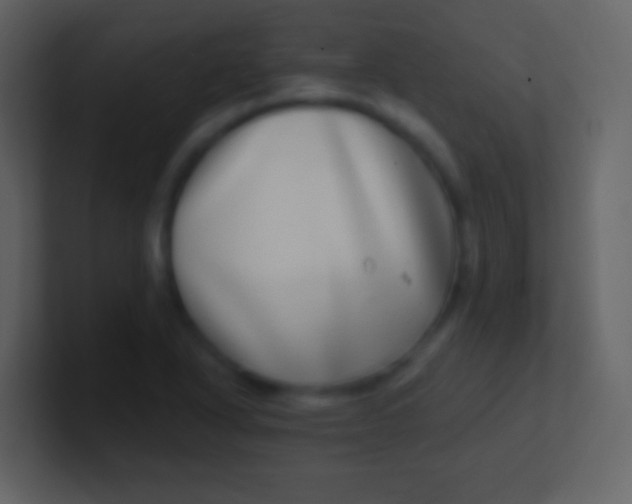 X0000100911318200807081116