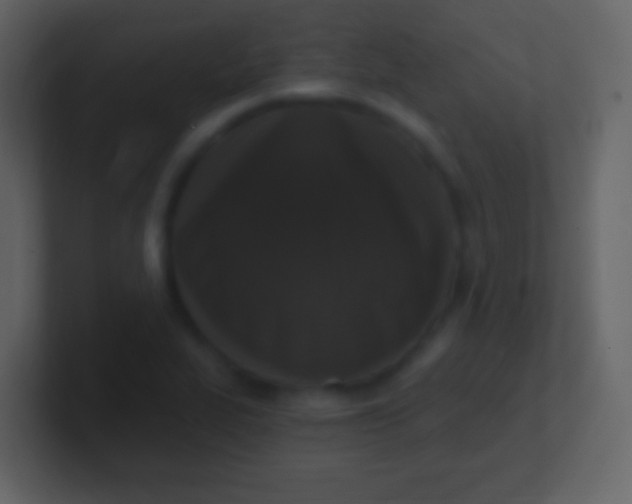 X0000100911319200807081116