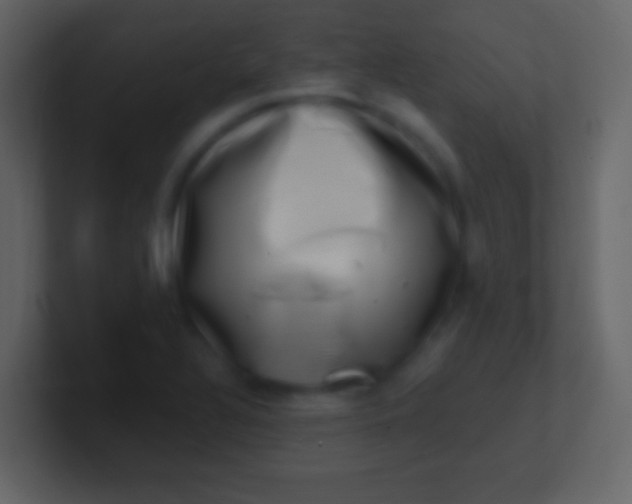 X0000100911320200807081116