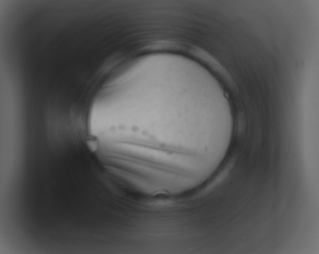 X0000100911321200807081116
