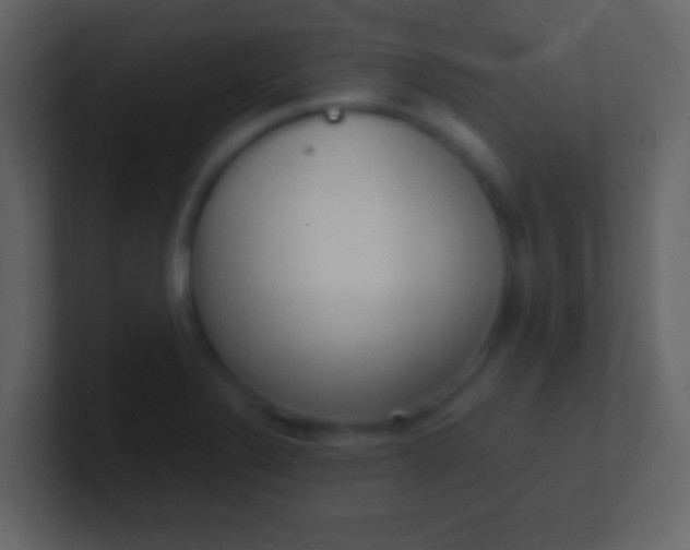 X0000100911324200807081116