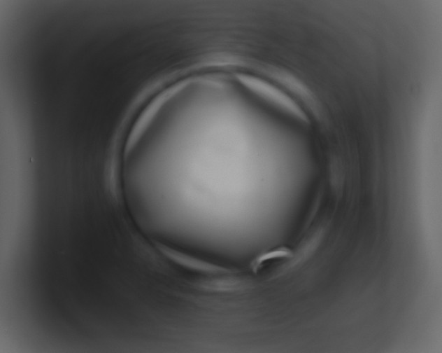 X0000100911326200807081116
