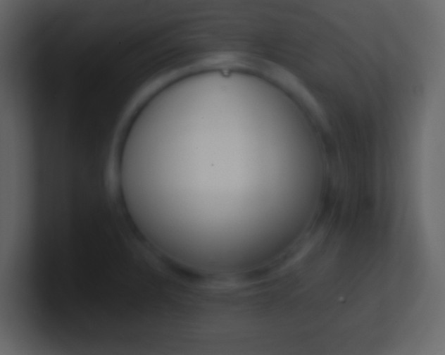 X0000100911328200807081116