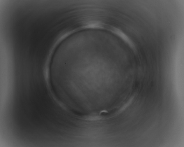 X0000100911331200807081116