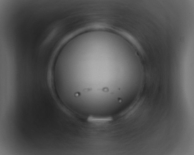 X0000100911335200807081116