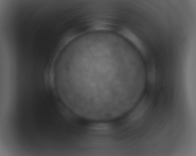 X0000100911338200807081116