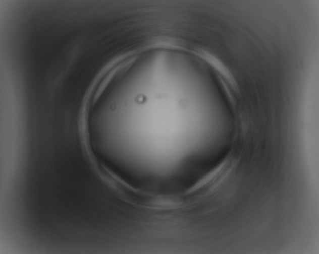 X0000100911339200807081116