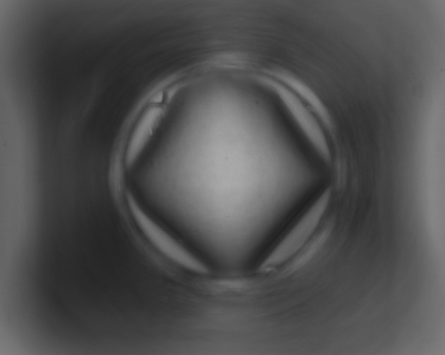 X0000100911341200807081116