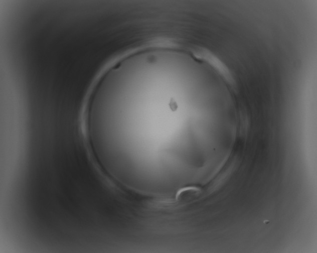 X0000100911342200807081116