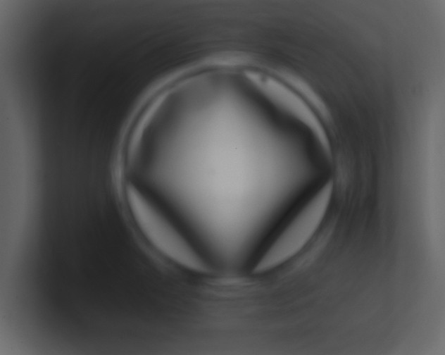 X0000100911343200807081116